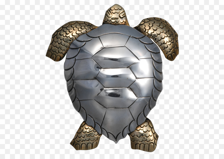 Pin，Tartaruga PNG