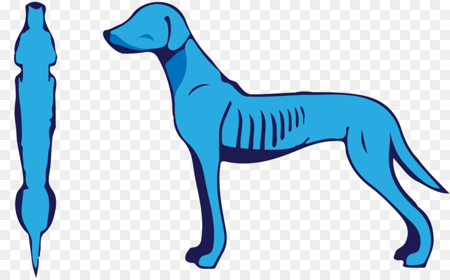 Raça Do Cão，Italian Greyhound PNG