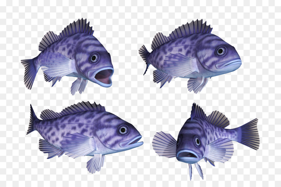 Peixes De águas Profundas，Hagfish PNG
