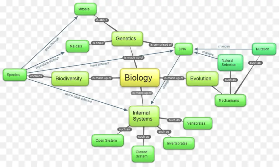 Mapa Mental De Biologia，Genética PNG