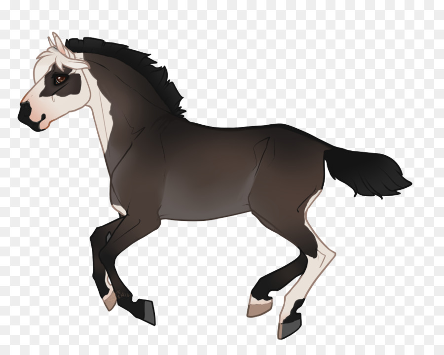 Cavalo，Equino PNG