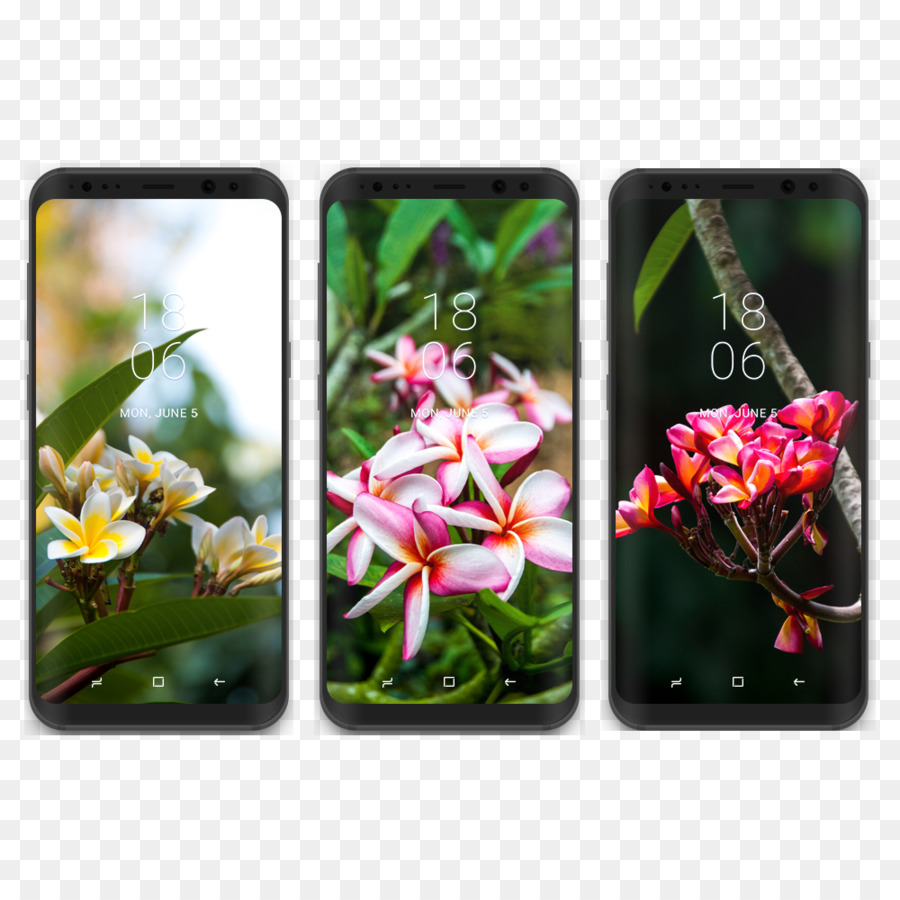 Smartphones，Flores PNG