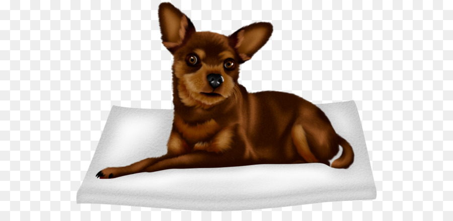 Chihuahua，Russkiy Brinquedo PNG