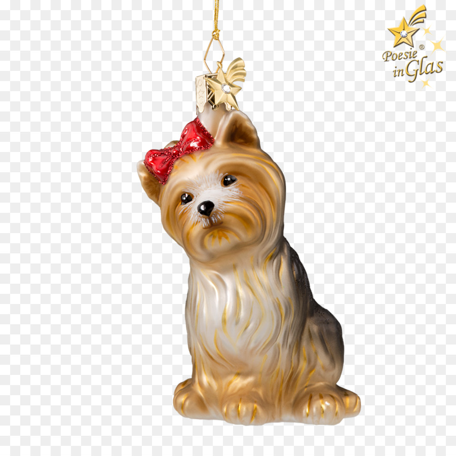 Yorkshire Terrier，Cairn Terrier PNG