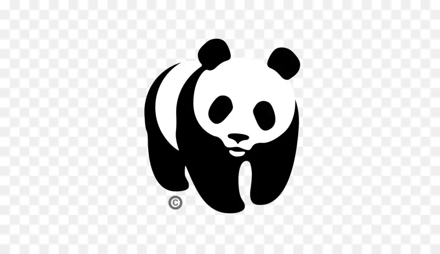 Panda，Urso PNG