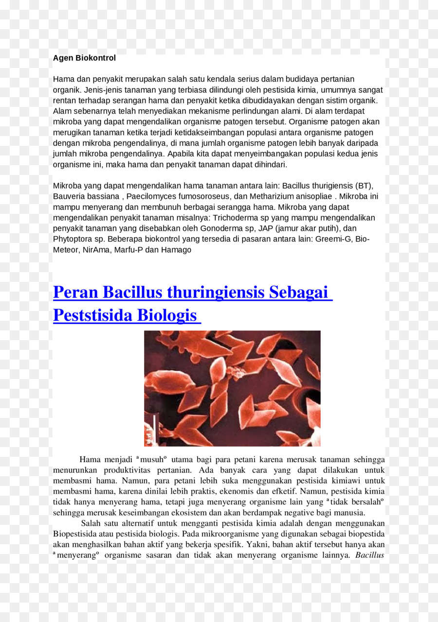 Bacillus Thuringiensis，Tipo De Bacillus PNG