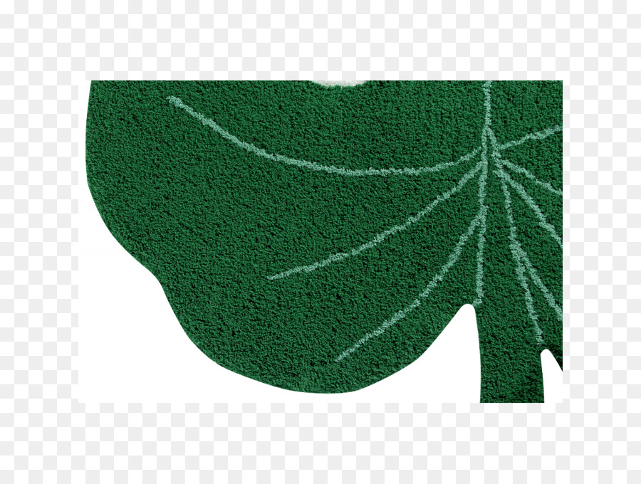 Queijo Suíço Planta De，Folha PNG