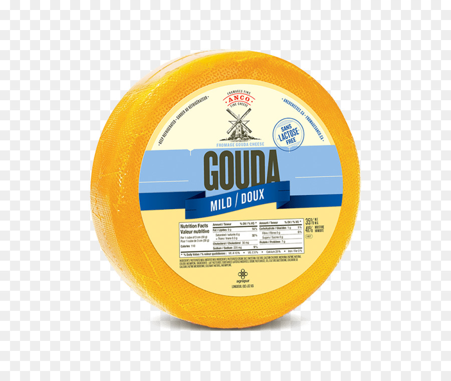 Queijo Gouda，Leite PNG