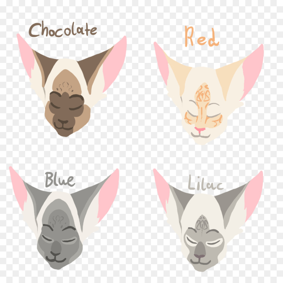 Caras De Gato，Cores PNG