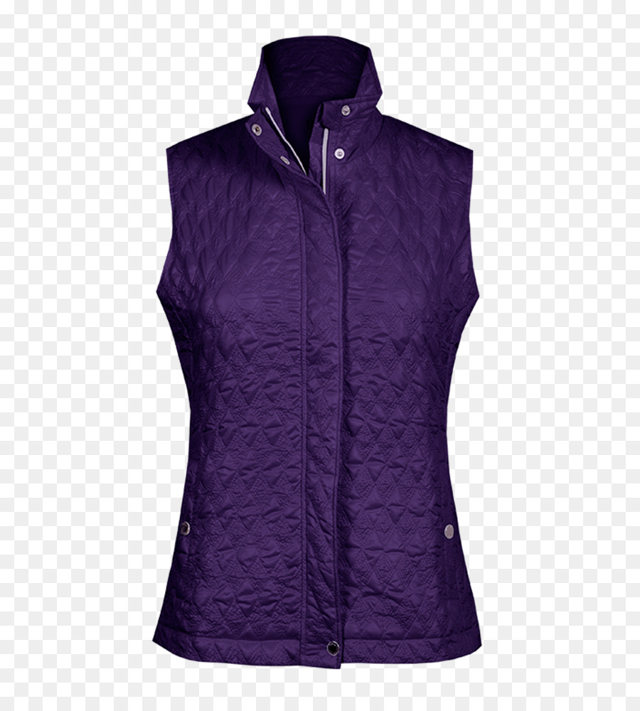 Gilets，Manga PNG