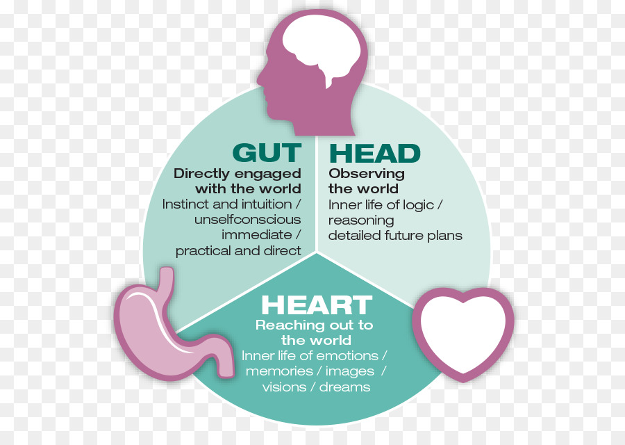 Diagrama De Cabeça Coração E Intestino，Mente PNG