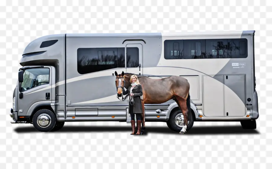 Cavalo E Trailer，Cavalo PNG