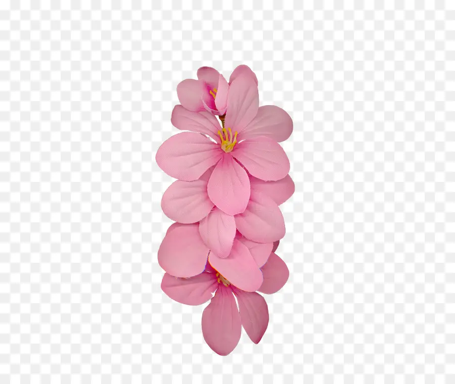 Dahlia，Flores De Corte PNG