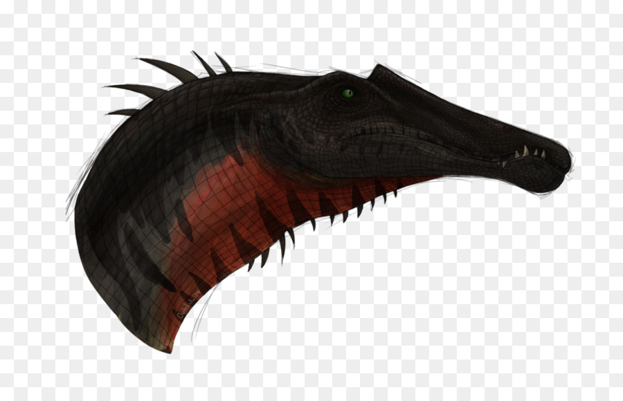 Spinosaurus，Desenho PNG