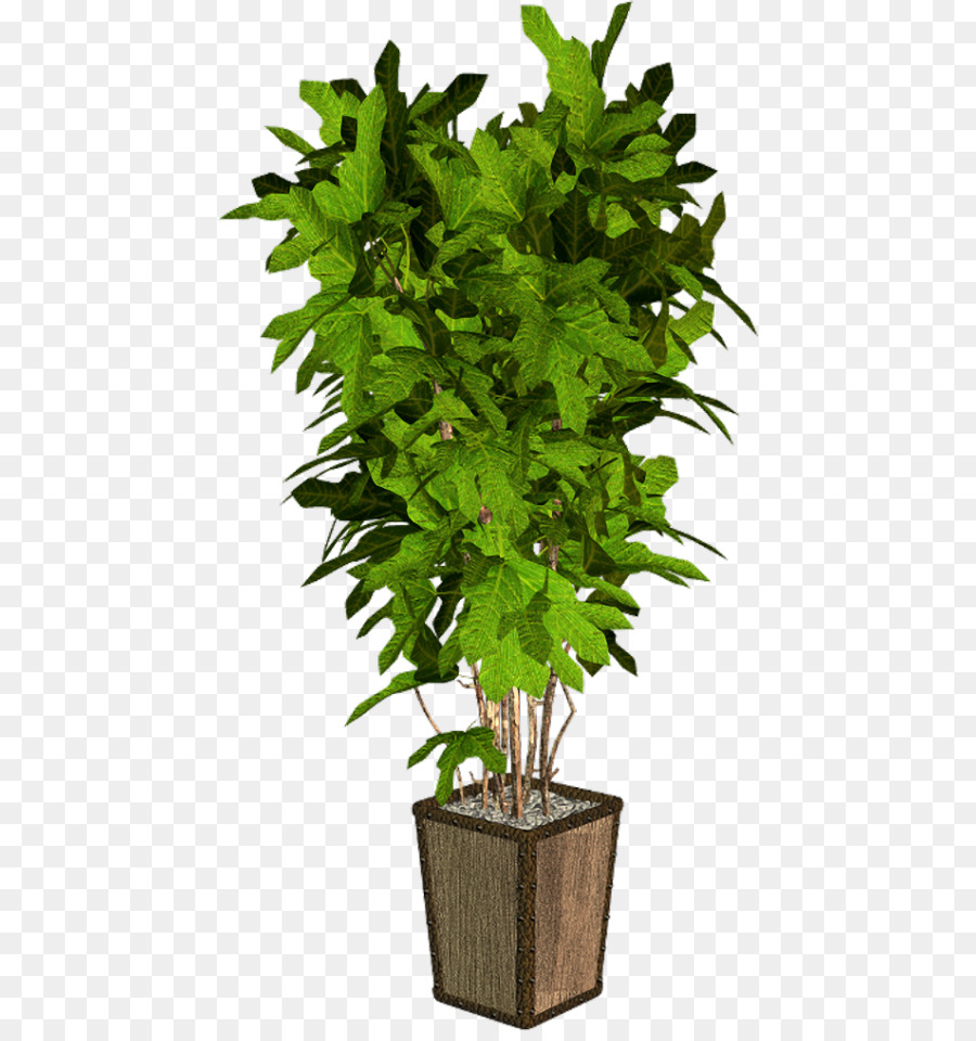 Flowerpot，Planta De Casa PNG