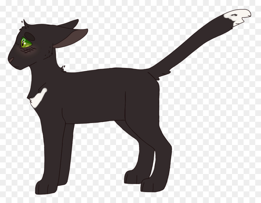 Gato Preto，Bicho De Estimação PNG