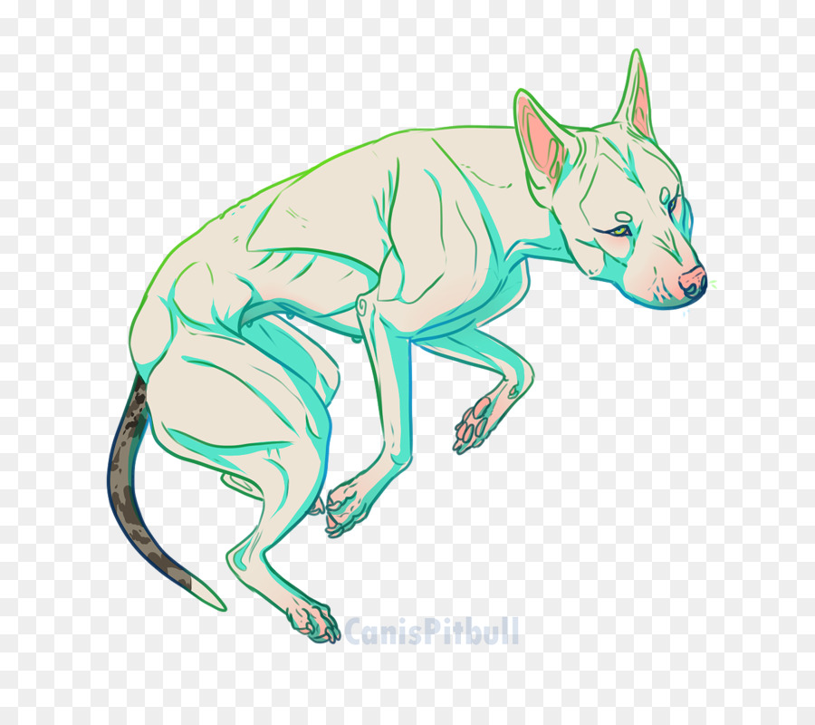 Canidae，Desenho PNG