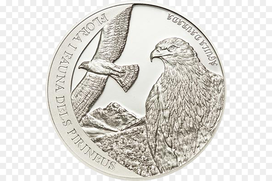 Moeda，Numismática PNG