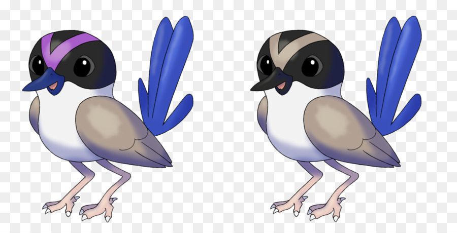 Bico，Aves PNG