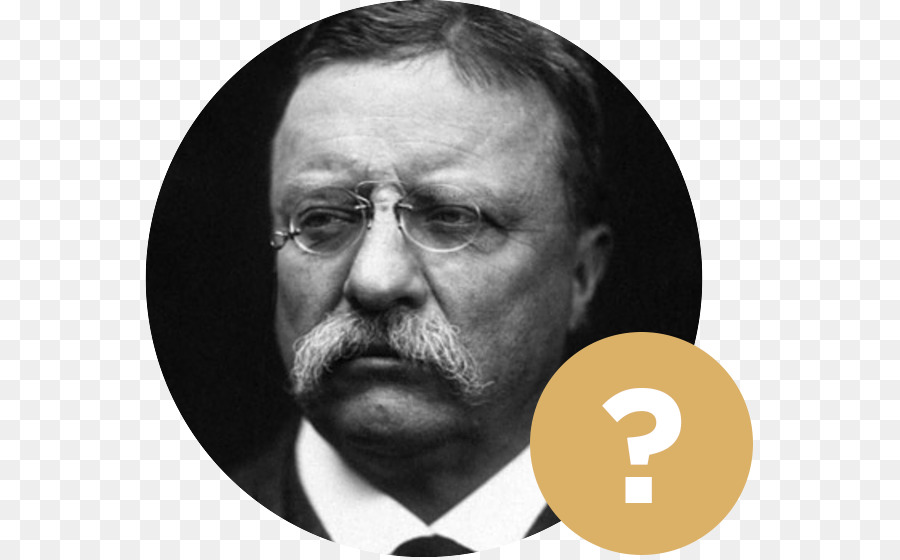 Theodore Roosevelt，Theodore Roosevelt Na Liderança Executiva Lições Do Bully Pulpit PNG