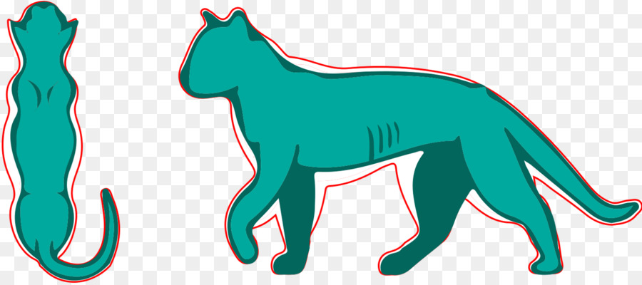 Gato，Cão PNG