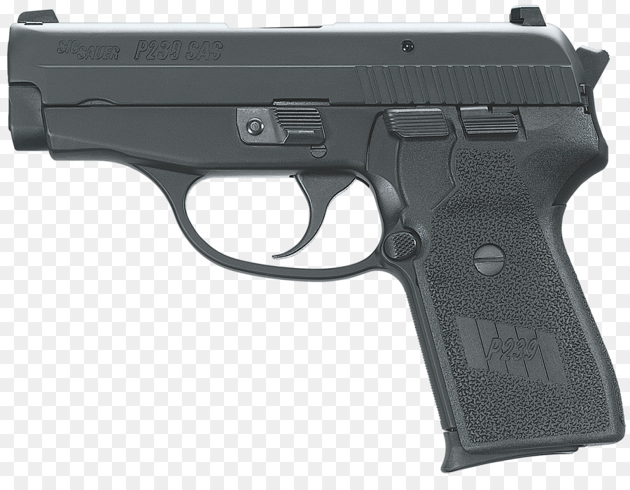 Walther Ccp，A Carl Walther Gmbh PNG