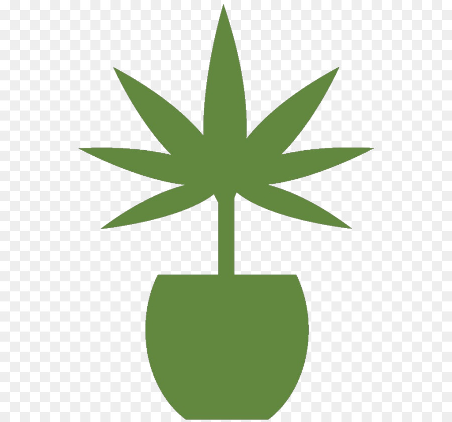 Cannabis Medicinal，Cannabis PNG