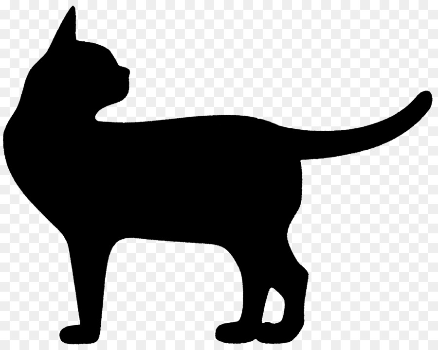 Gato Preto，Gatinho PNG