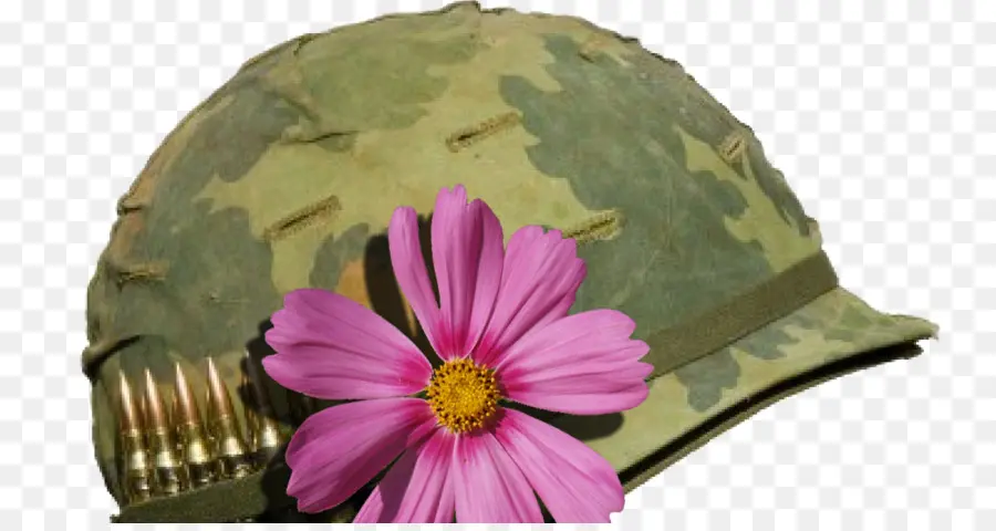 Capacete Com Flor，Militares PNG