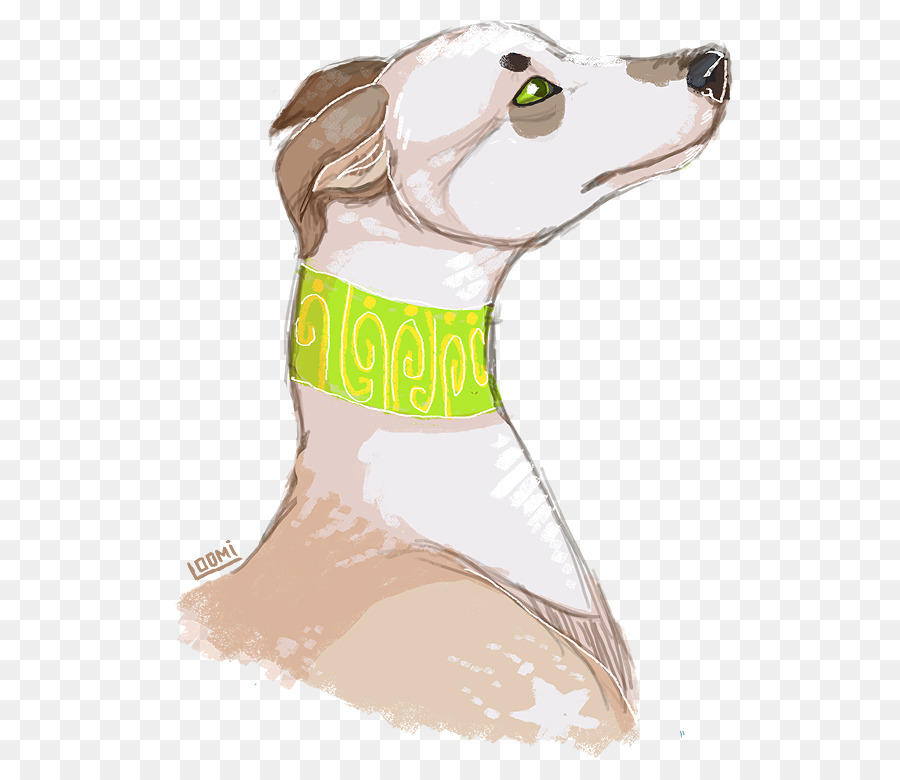 Raça Do Cão，Italian Greyhound PNG