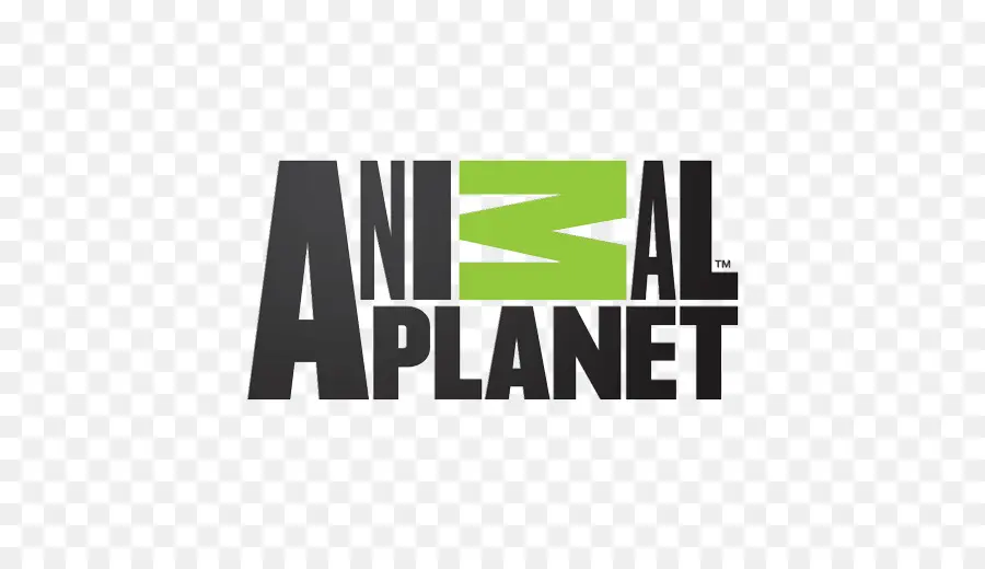 Animal Planet，Programa De Televisão PNG
