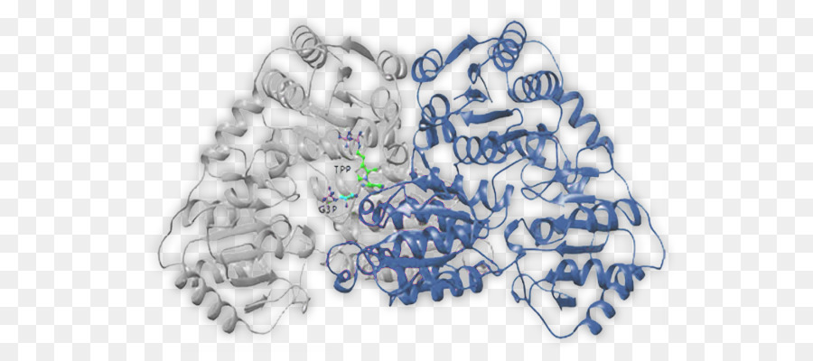 International Genetically Engineered Machine，Catálise PNG