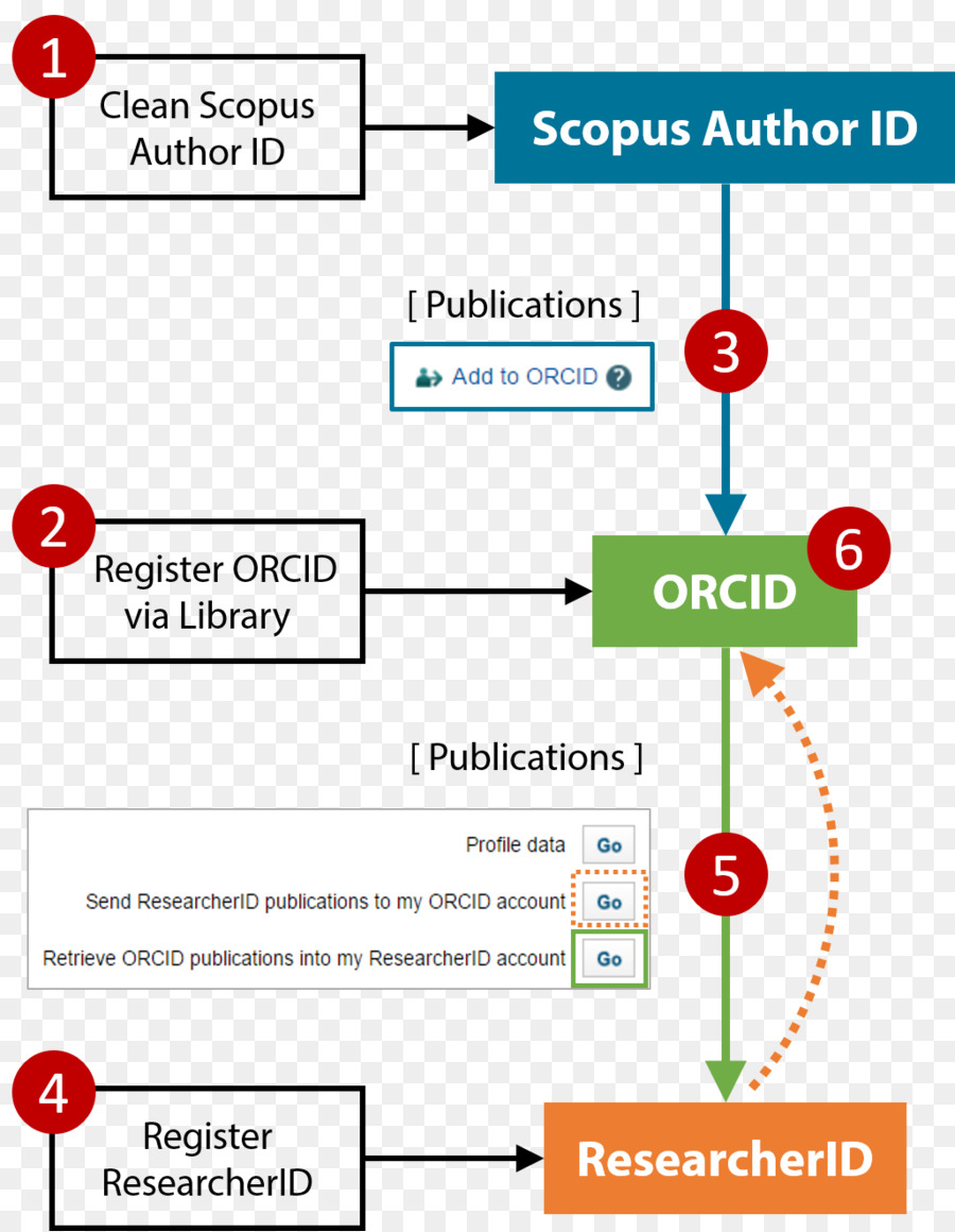 Politécnica De Hong Kong Universidade，Orcid PNG