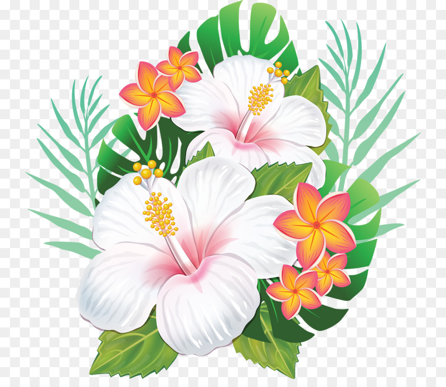 Rosemallows Havaiano Flor de hibisco flor havaiana download grátis KB png