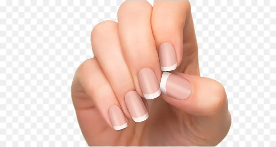 Unhas Bem Cuidadas，Cuidados Com As Unhas PNG