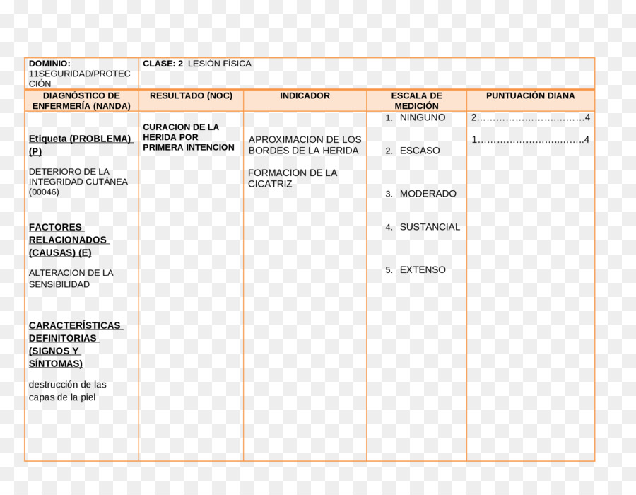 Documento，Cirurgia PNG