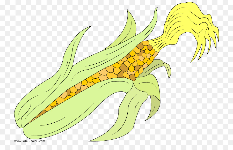 Desenho，Maize PNG