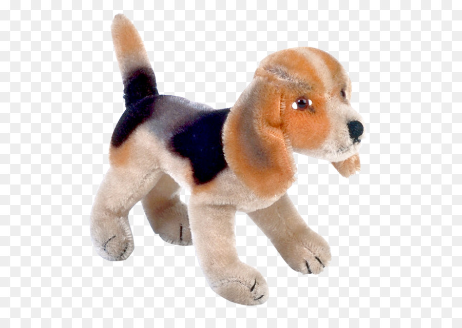 Beagle，Filhote De Cachorro PNG