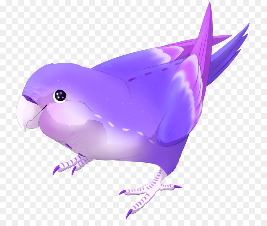 Dolphin，Bico PNG