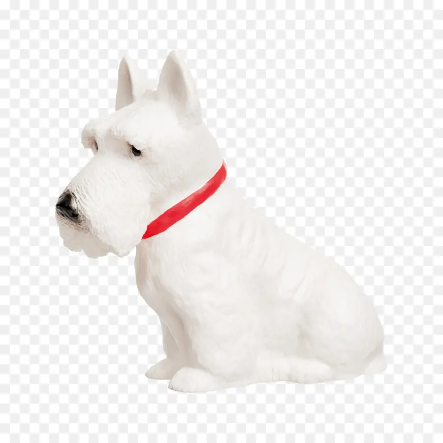 Cachorro Branco，Bicho De Estimação PNG