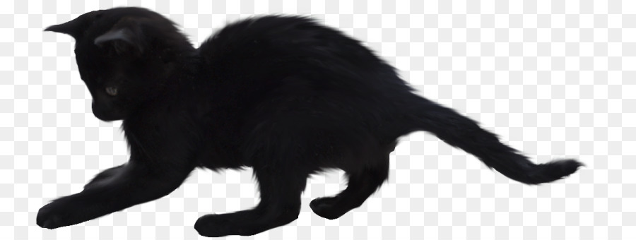 Gato Preto，Pelagem PNG