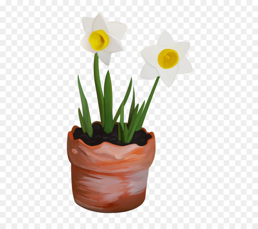 Narciso，Flowerpot PNG