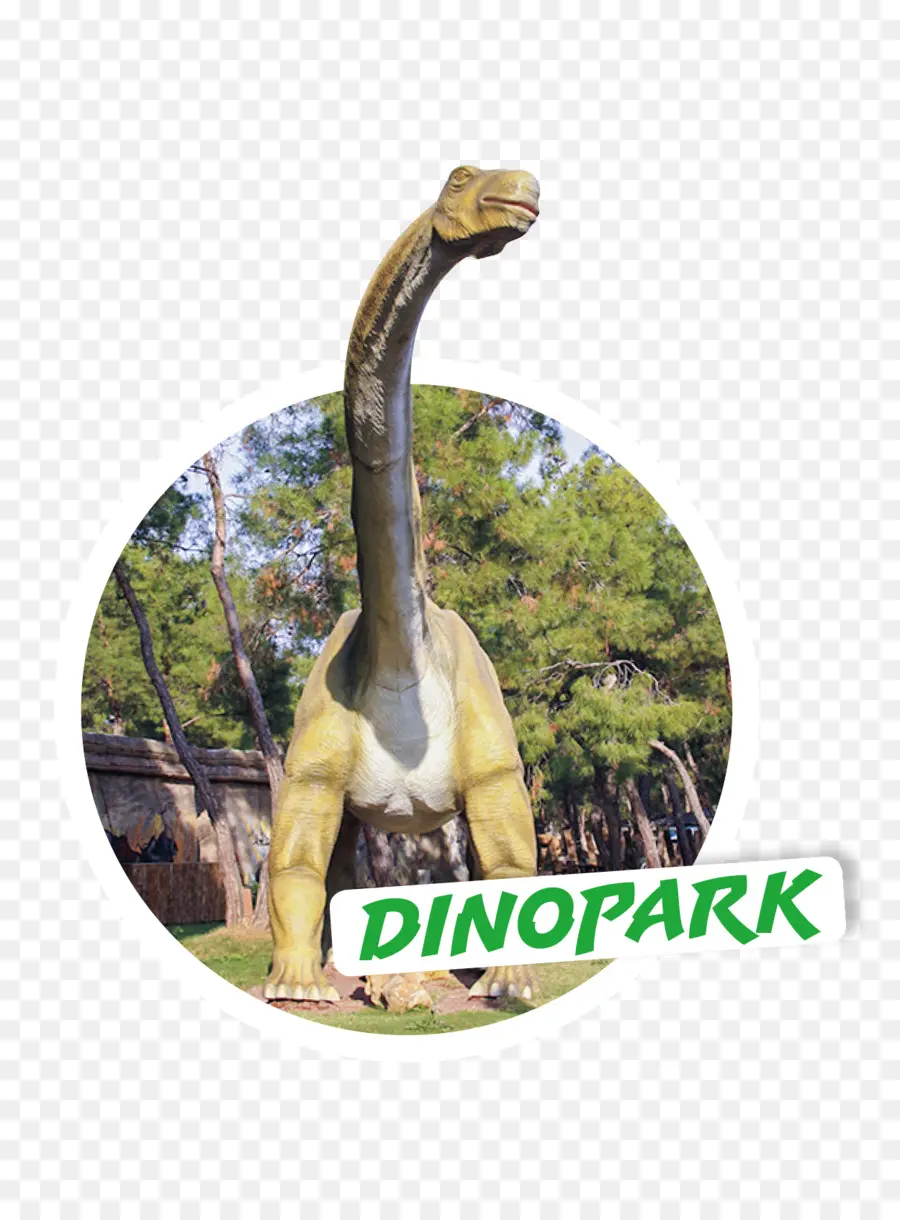 Dinossauro，árvore PNG