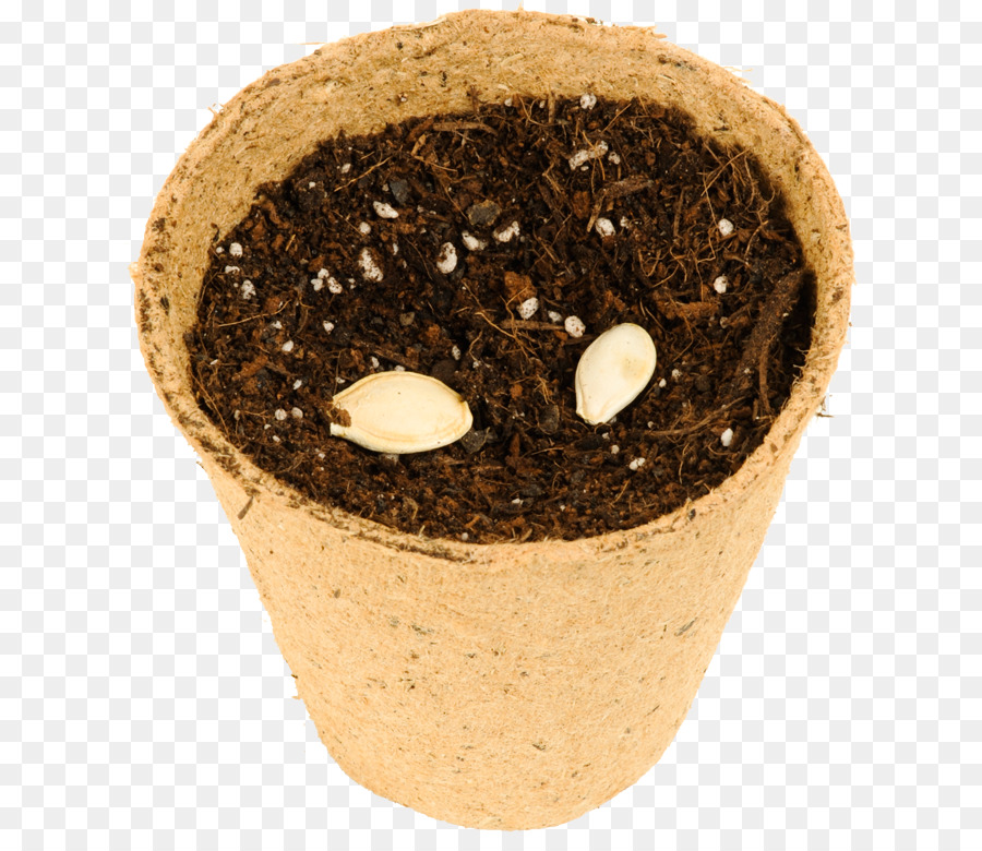 Solo，Flowerpot PNG