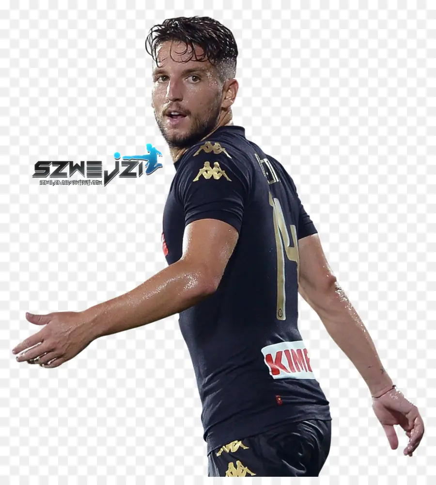 Jogador De Futebol，Futebol PNG