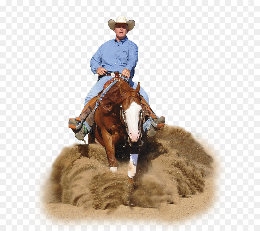 Cowboy A Cavalo，Cavaleiro PNG