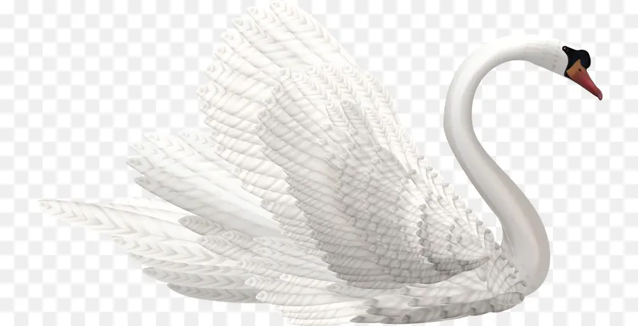 Cisne，Pássaro PNG