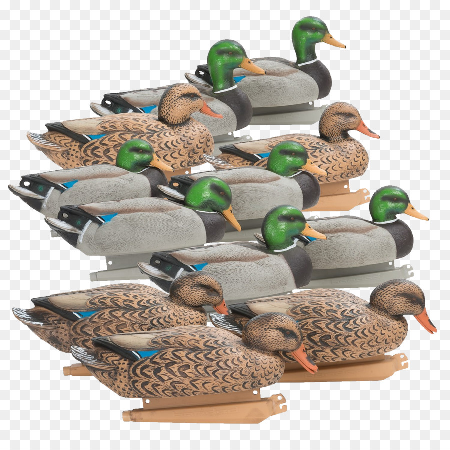 Iscas De Pato，Patos PNG