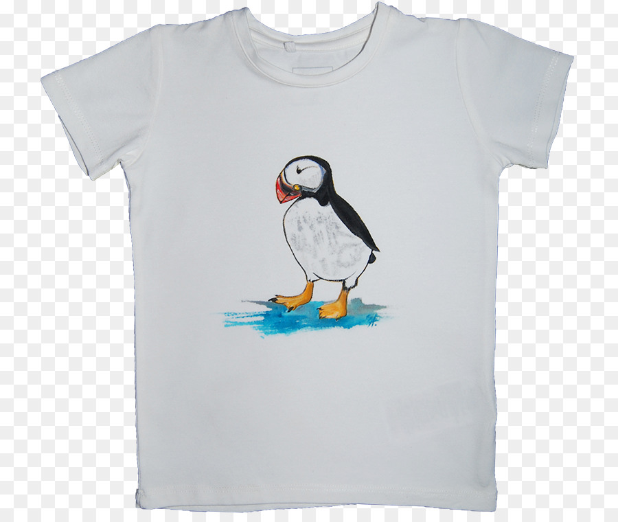 Tshirt，De Avião PNG