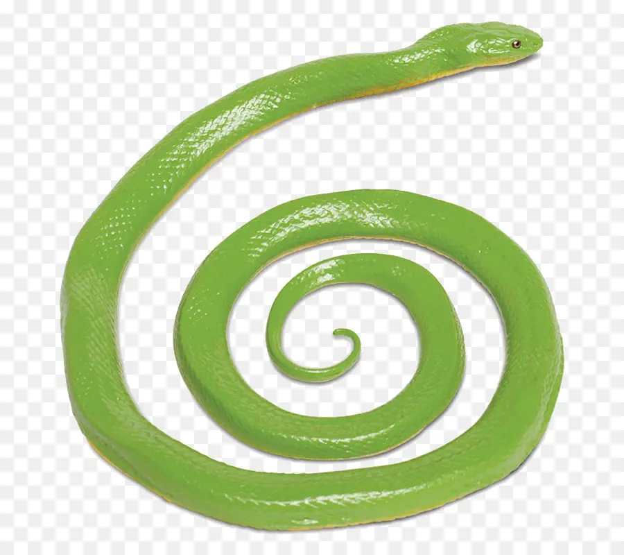 Cobra，áspero Cobra Verde PNG